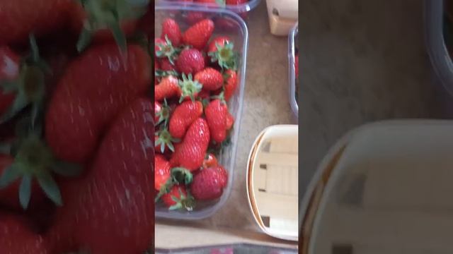 Сорт квики 2022 смотреть онлайн