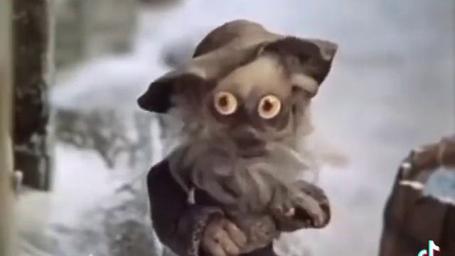 домовой и знаки зодиака 🤣🤣🤣😂😂😂