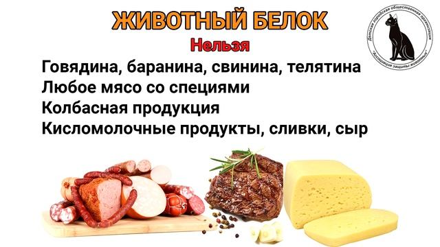 Подкормки для улиток ахатин (кальций, растительный и животный белок) смотреть онлайн