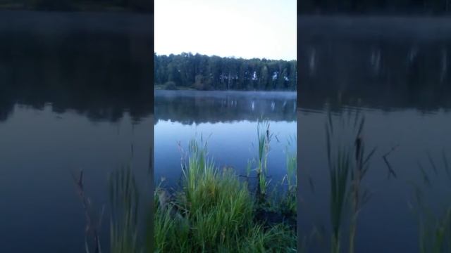 На рыбалке Ордынский район Малоирменка лето 2016 смотреть онлайн