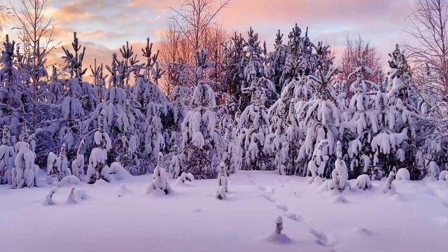 Факты о Финляндии | Топ 10 фактов о Финляндии | Хельсинки | Финляндия 4К | культура Финляндии смотреть онлайн