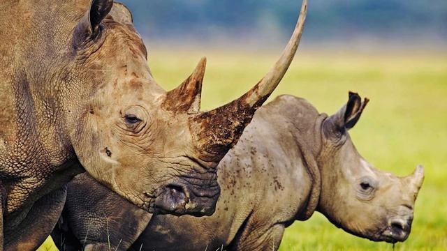 Творческий Путь к Искусству