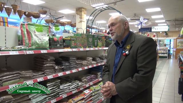 Новогодняя консультация, вопрос, альпийская земляника, как размножить, как сохранить всходы из семя смотреть онлайн