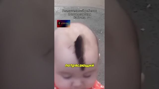 Умилительный ребенок и потрясающая бабочка.