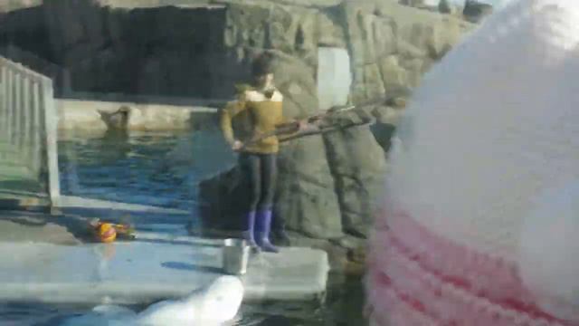 Шоу: "Белухи" смотреть онлайн