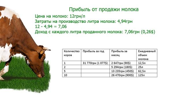 Бизнес на коровах. Расчет прибыли от молока и сыра. Бизнес-план. | Бизнес-идеи смотреть онлайн
