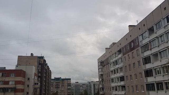 Молоко - ослабленным, мох как субстрат, фулика и овум - как и почему вместе. Отвечаю на комментарии смотреть онлайн