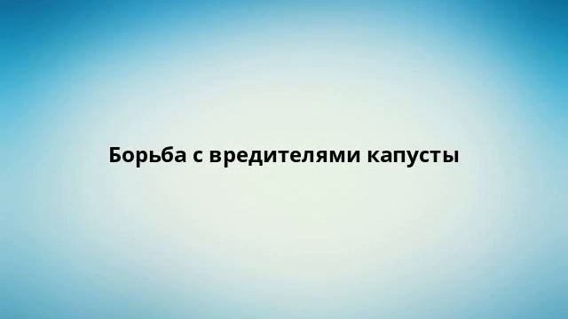 Борьба с вредителями капусты смотреть онлайн