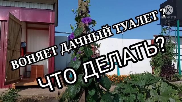 #КАК ИЗБАВИТЬСЯ ОТ ЗАПАХА В ДАЧНОМ ТУАЛЕТЕ# смотреть онлайн