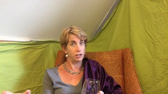 Questions to Ask a Literary Agent - A Fireside Chat with Faust смотреть онлайн