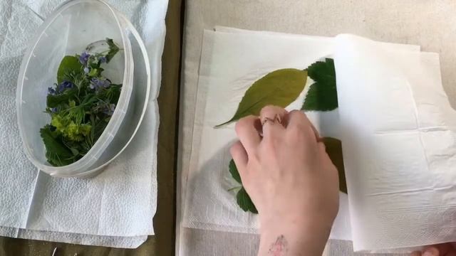 как сушить травы?? смотреть онлайн