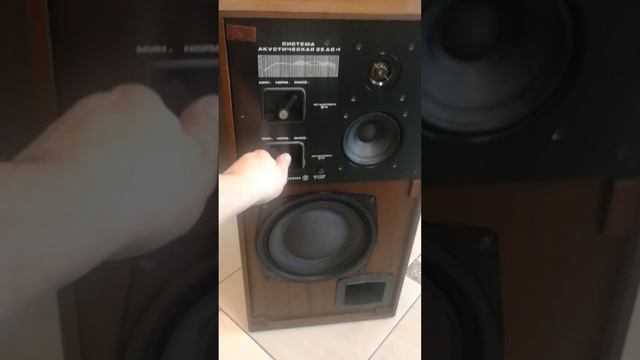Акустическая система Radiotehnika 35АС-1, одна колонка в идеальном тех-ом и косметическом состоянии смотреть онлайн