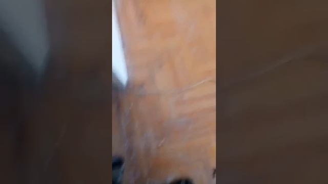 Паркет бук полная реставрация с ремонтом 1 часть смотреть онлайн