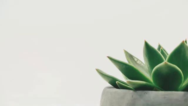 №3 Meditation and relaxtation смотреть онлайн