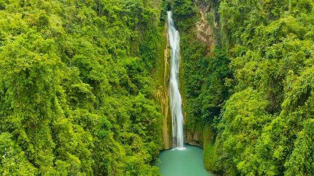 Best Saxophone Melodies 2024 - Collection of sweet love songs - Relaxing Saxophone Music смотреть онлайн