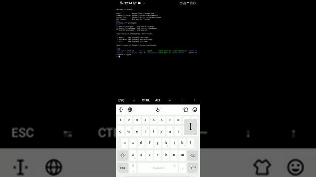 How To Install Ngrok | installation and reconnecting issue fixed | Latest version 2020 смотреть онлайн