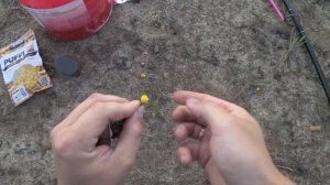 Ловля карася на кормаки! Карась клюет один за другим!