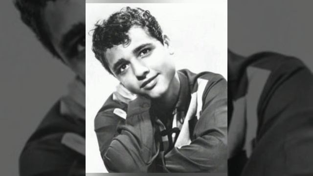 In Memory Of Sal Mineo. смотреть онлайн