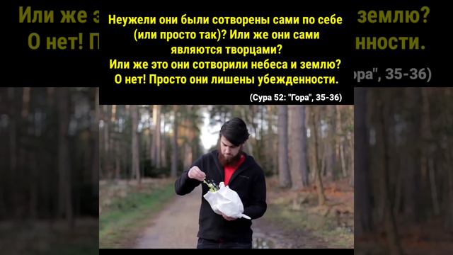 Неужели они были сотворены сами по себе? смотреть онлайн