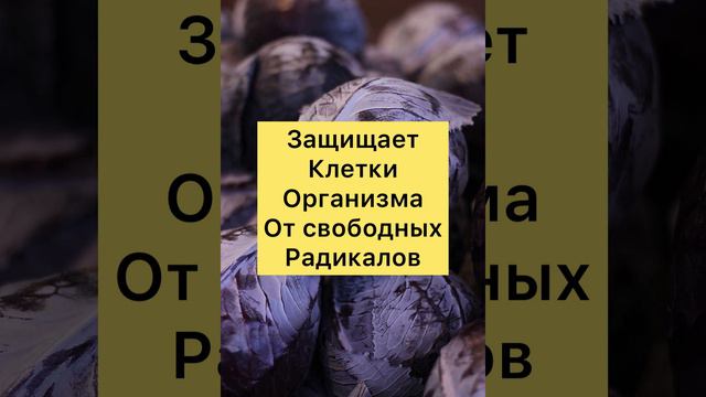 Чем Полезна Краснокочанная Капуста? смотреть онлайн