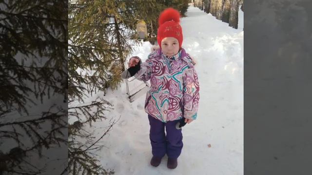 Кормушки для птиц смотреть онлайн