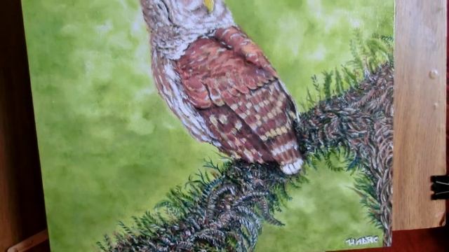 Сова - масло смотреть онлайн