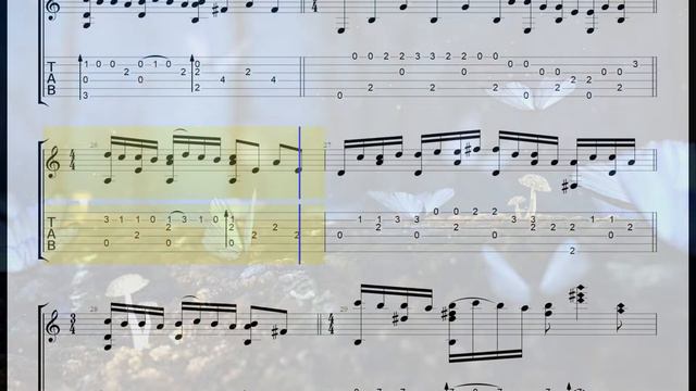Marriage D'Amour(꿈속의 웨딩)/George Davidson/Paul de Senneville/Clasical Guitar/tab/Sheet Music смотреть онлайн