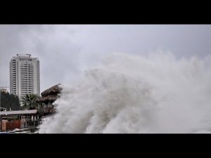 Сильнейший шторм в Черном море. Лежаки разломаны, везде валяются выброшенные из моря коряги и мусор