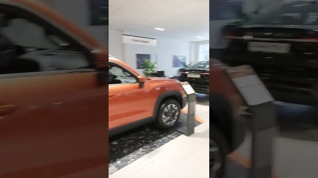 Дилерский центр Haval смотреть онлайн