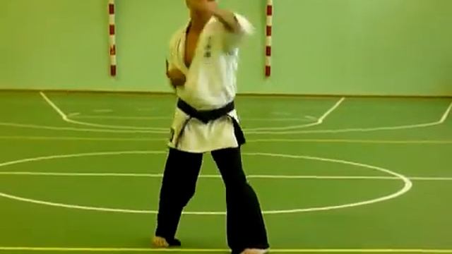Технические ката в каратэ кай до джитсу -6 смотреть онлайн