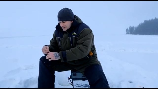 Ставим жерлицы на налима!Ловля окуня на мормышку и балансир! смотреть онлайн