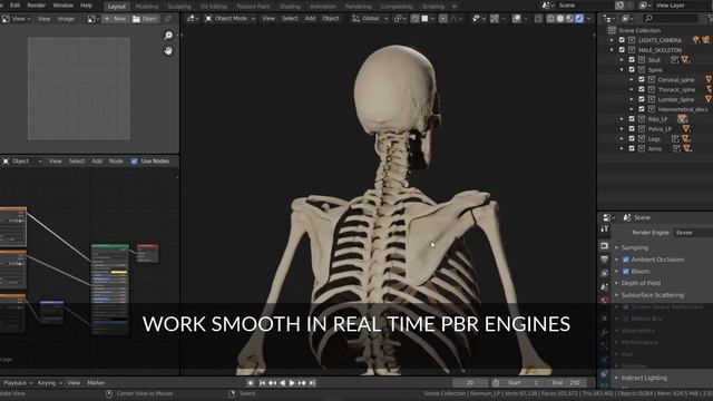 Skeleton 3d model (PBR)- Demo смотреть онлайн