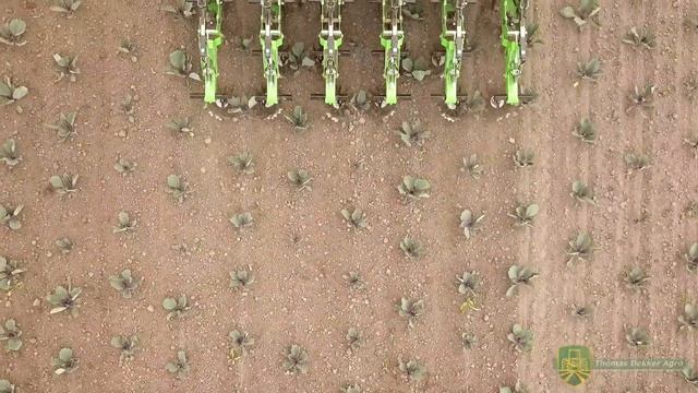 New Farmtec Biotracker hoeing machine in cabbage for weed control with camera side-shift. смотреть онлайн