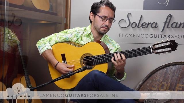 Manuel Montero & Juan Mateo & Diego Amaya: Alegrias con Solera смотреть онлайн