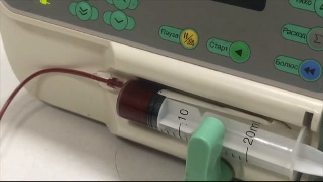 Переливание крови у котов. Кот Роззи и котёнок Сёма ?? ? Нелли шоу ?