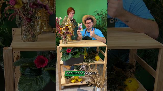 Два раннеспелых томата для теплиц и открытого грунта смотреть онлайн