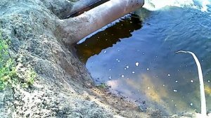 ПАУК отрабатывает на 101%,  самодельный подъёмник.