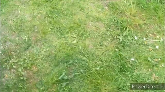 Как заменить амортизатор и пружину на пассат В3 смотреть онлайн
