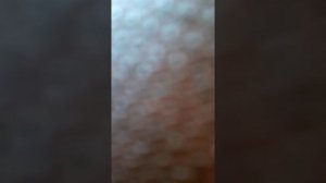 Как снять ондулин.