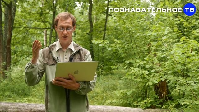 Когда придумали Куликовскую битву (Познавательное ТВ, Артём Войтенков) смотреть онлайн