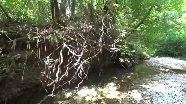 Прасковеевка. Небольшой поход по долине реки Джанхот в Прасковеевке. смотреть онлайн