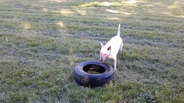 22 августа 2018 г. смотреть онлайн