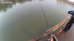 Рыбалка в Ростовской области на Ерике Лагутник. Fishing in Rostov on Don region