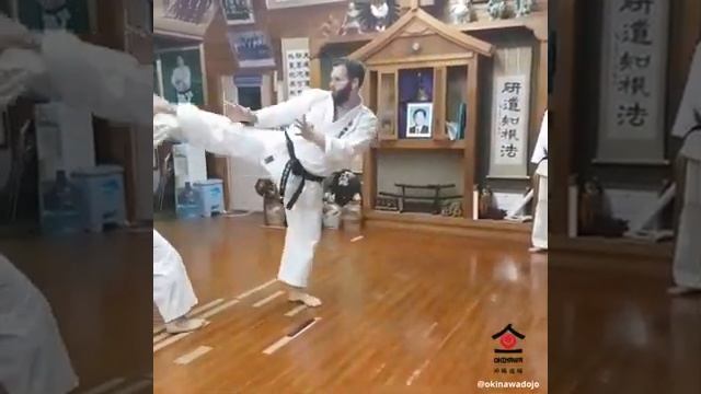 Bunkai Sanseiryu 三 十六 (36) (application) Kata Uechi Ryu Karate / Nemanja Petrovich And Rybin Evgeny