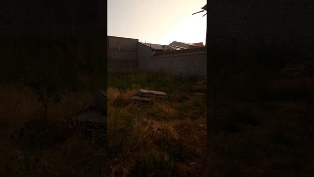 Строим навес#1