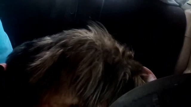 Райс, продолжение. Нужен рентген. Мы на грани.... 😭 смотреть онлайн