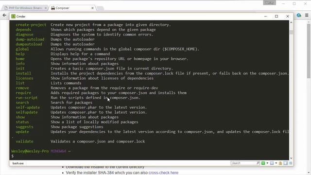 Instalando PHP5 e PHP7 no Windows (Simultaneamente) смотреть онлайн