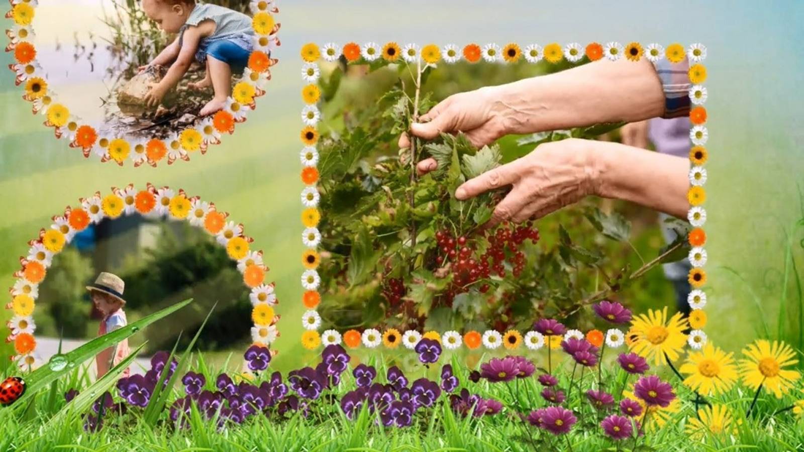 «Летняя прогулка» — шаблоны для ВидеоШОУ смотреть онлайн