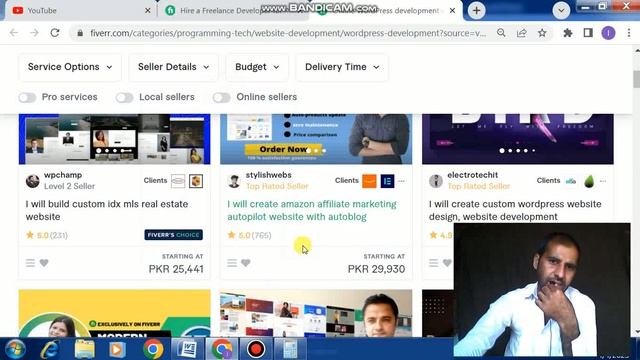 how to earn make money form Wordpress development смотреть онлайн