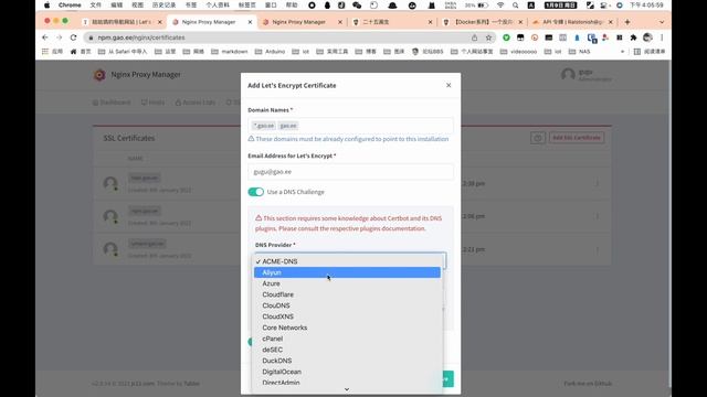 【Docker系列】反向代理神器 Nginx Proxy Manager ——通配符SSL证书申请 смотреть онлайн